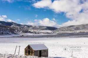 Snowy farms (4).jpg